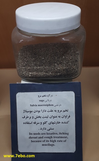 خواص درمانی تخم مرو