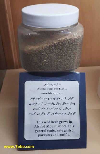 خواص درمانی درمنه کوهی