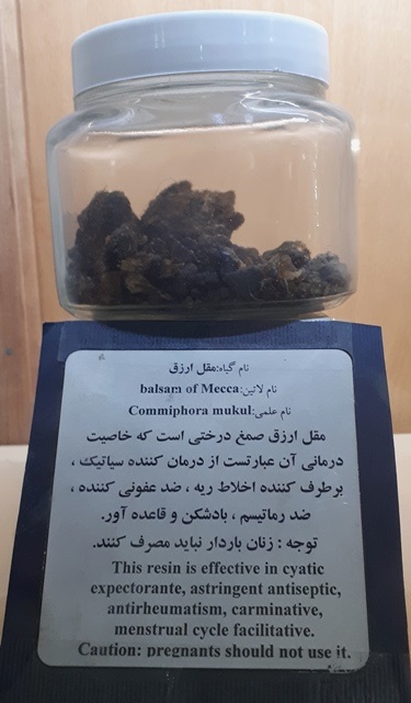 خواص درمانی ارزق