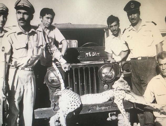 شادروان چنگیز حلمی کشتن بچه برک