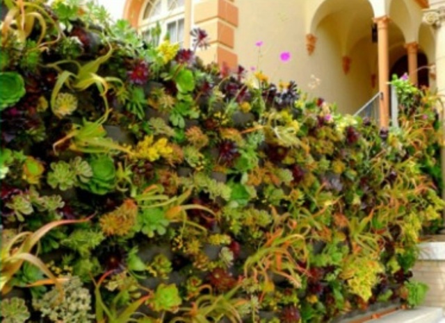 دیوار سبز Green wall