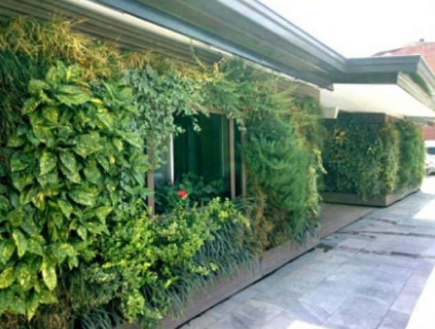 دیوار سبز Green wall