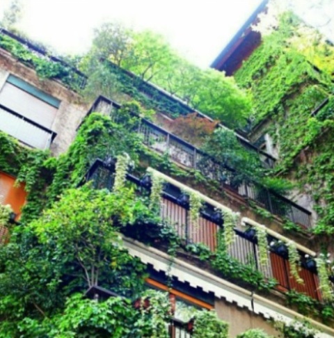 دیوار سبز Green wall