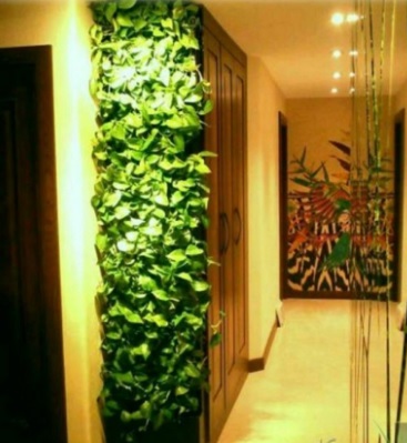 دیوار سبز Green wall
