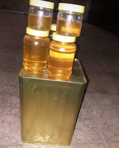 فروش عسل عمده در حلب های 17 کیلویی گون و آویشن کوه های چهارمحال بختیاری در اهواز
