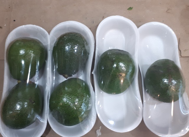 سوپر میوه فروشی نخل انواع میوه و سبزی ارسال درب منزل امانیه اهواز به مدیریت مهدی طرفی