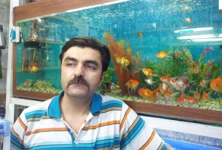 طراحی ، نصب ، راه اندازی انواع آکواریوم آب شور و شیرین اسکات اهواز به مدیریت شاکر