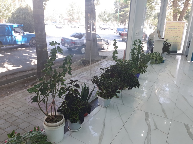 شیرینی فروشی پارک سبز میدان آزادگان ملایر